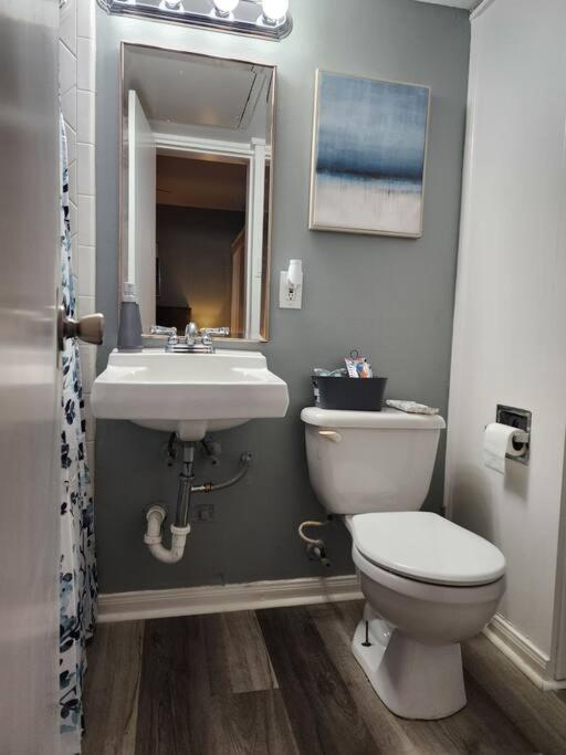 Appartamento Blue Shark *W7* @ Montrose 1Br Private King Loft Houston Esterno foto