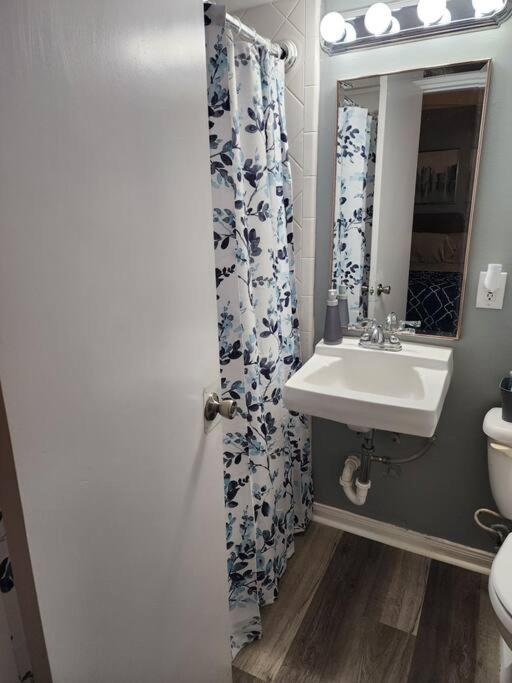 Appartamento Blue Shark *W7* @ Montrose 1Br Private King Loft Houston Esterno foto